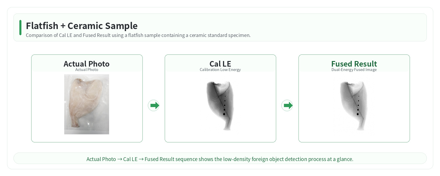 Flatfish Sample
